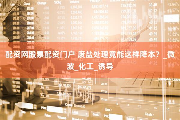 配资网股票配资门户 废盐处理竟能这样降本？_微波_化工_诱导