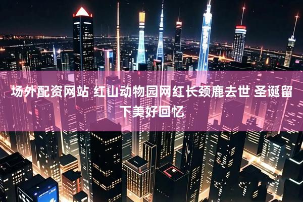 场外配资网站 红山动物园网红长颈鹿去世 圣诞留下美好回忆
