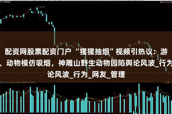 配资网股票配资门户 “猩猩抽烟”视频引热议：游客投掷烟头、动物模仿吸烟，神雕山野生动物园陷舆论风波_行为_网友_管理